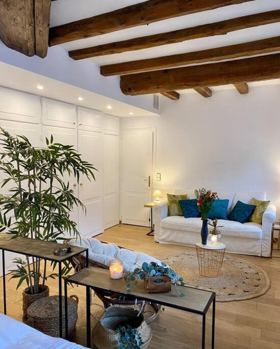 Le Roseau - En Plein Coeur Historique Apartman Annecy Kültér fotó