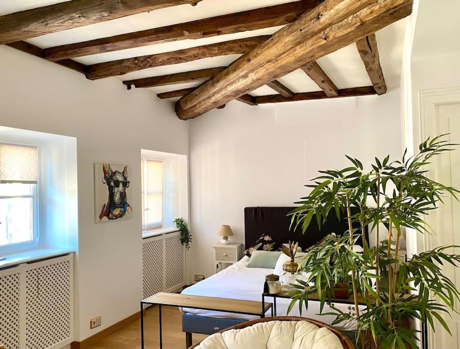 Le Roseau - En Plein Coeur Historique Apartman Annecy Kültér fotó