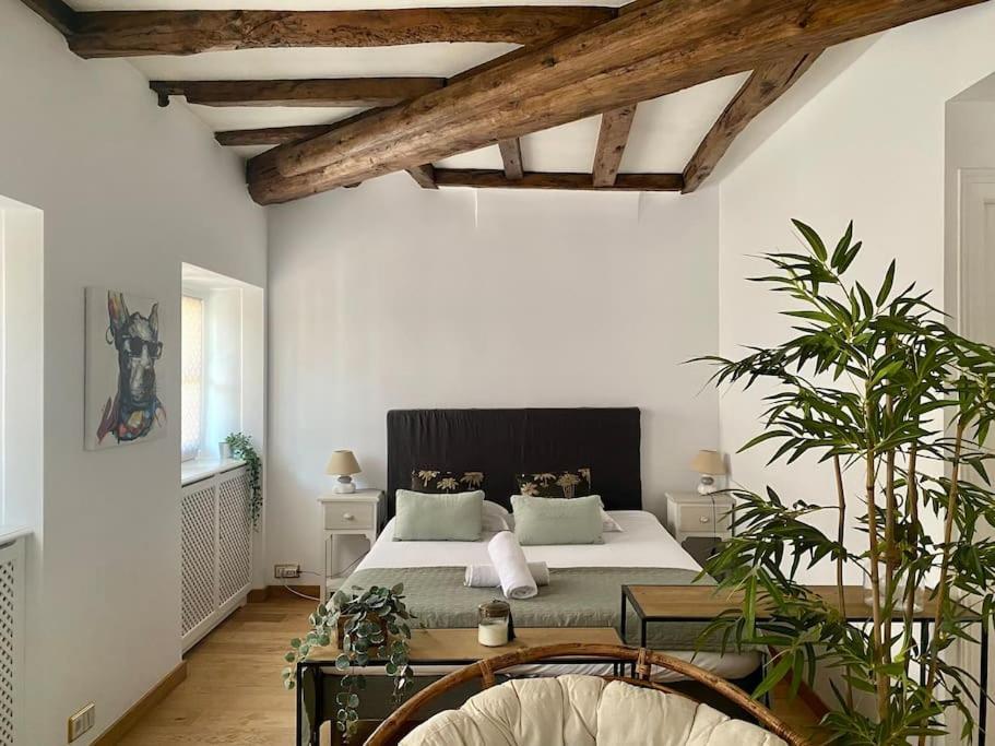 Le Roseau - En Plein Coeur Historique Apartman Annecy Kültér fotó