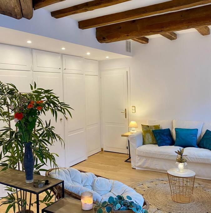 Le Roseau - En Plein Coeur Historique Apartman Annecy Kültér fotó